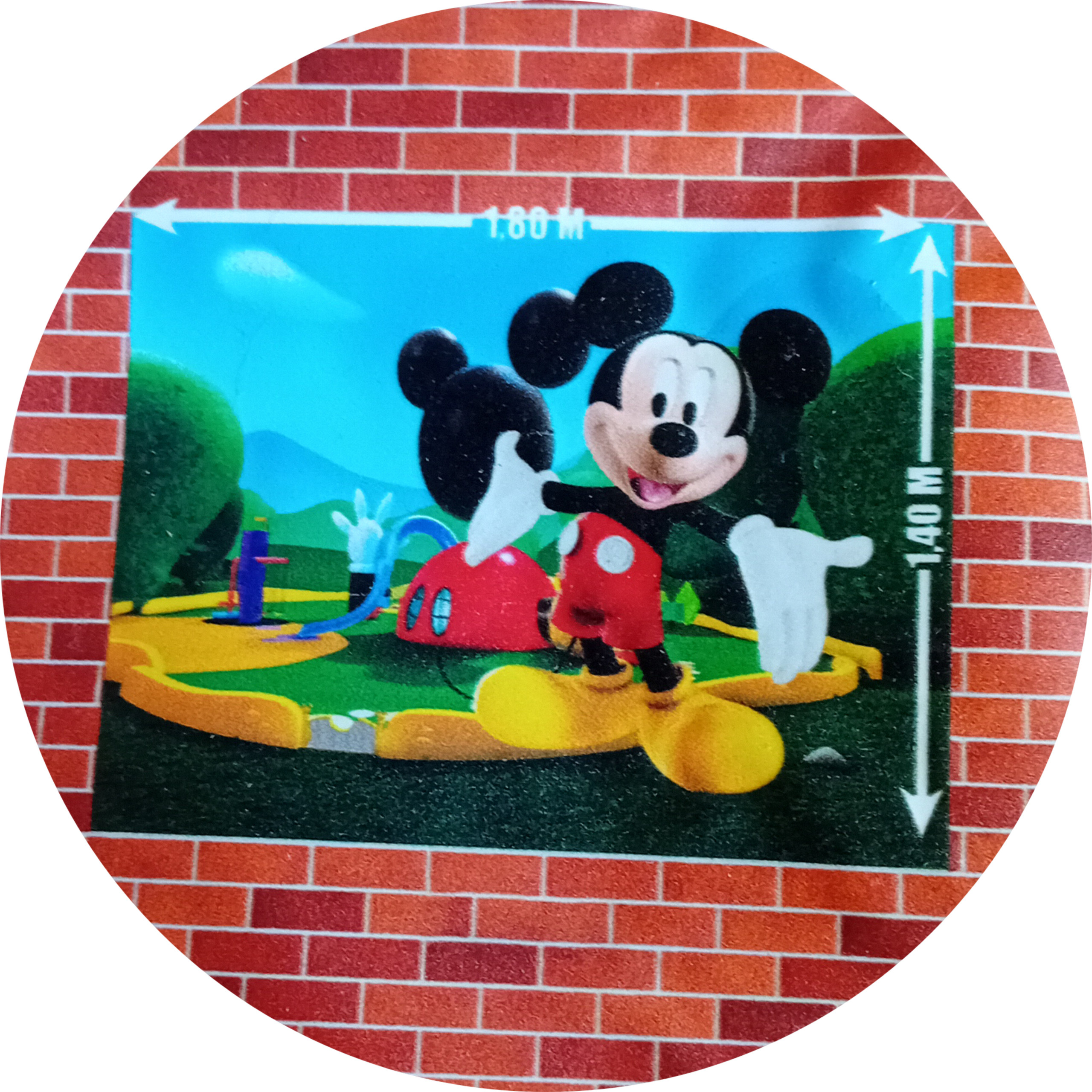 mickey mouse