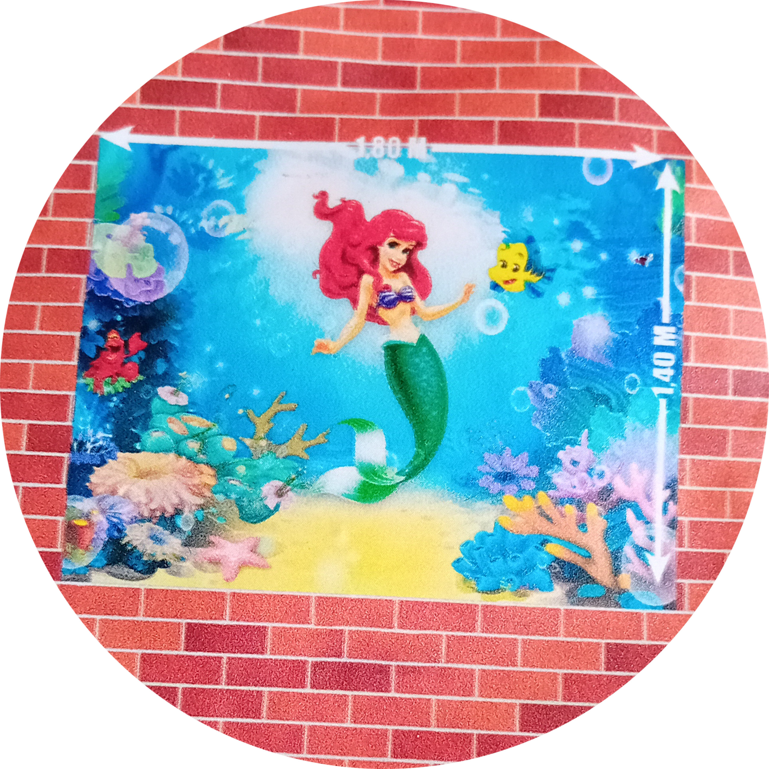 the little mermaid